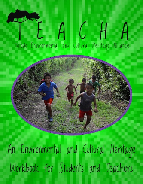 TEACHA Workbook